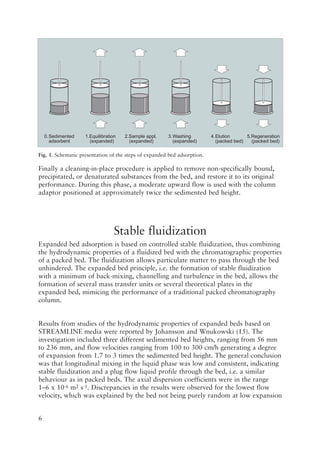 Expanded bed column pharmacia introd eba | PDF