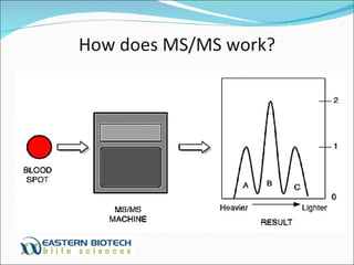 How does MS/MS work? 