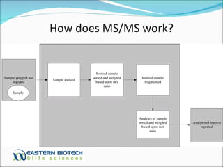 How does MS/MS work? 