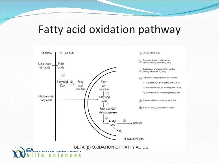 Expanded Newborn Screening