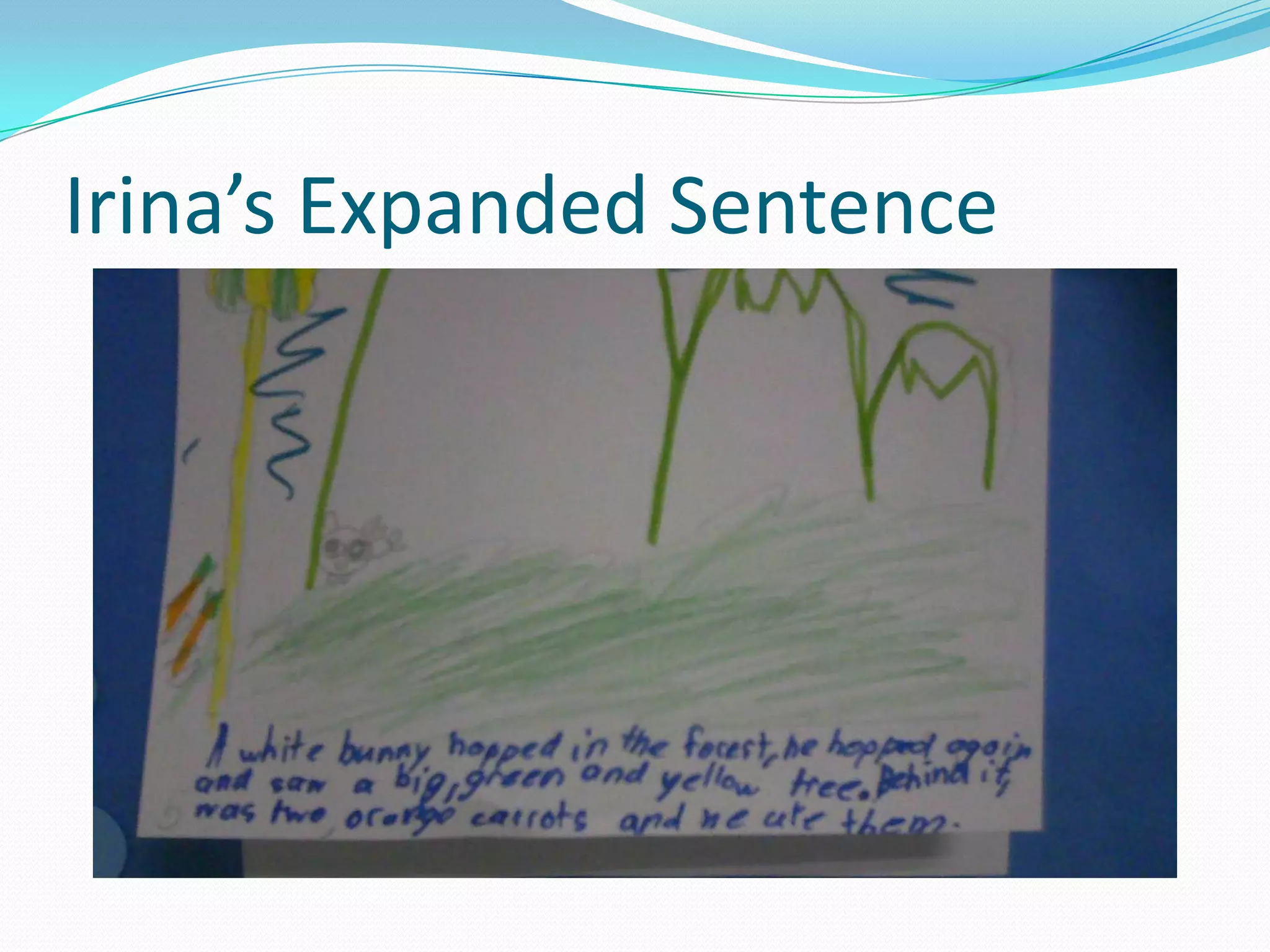 Irina’s Expanded Sentence