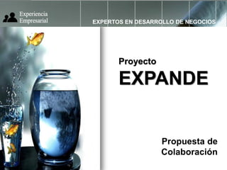 EXPERTOS EN DESARROLLO DE NEGOCIOS




       Proyecto

       EXPANDE


                  Propuesta de
                  Colaboración
 