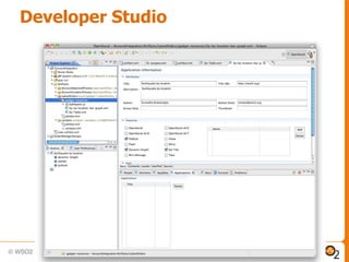 Developer Studio
 