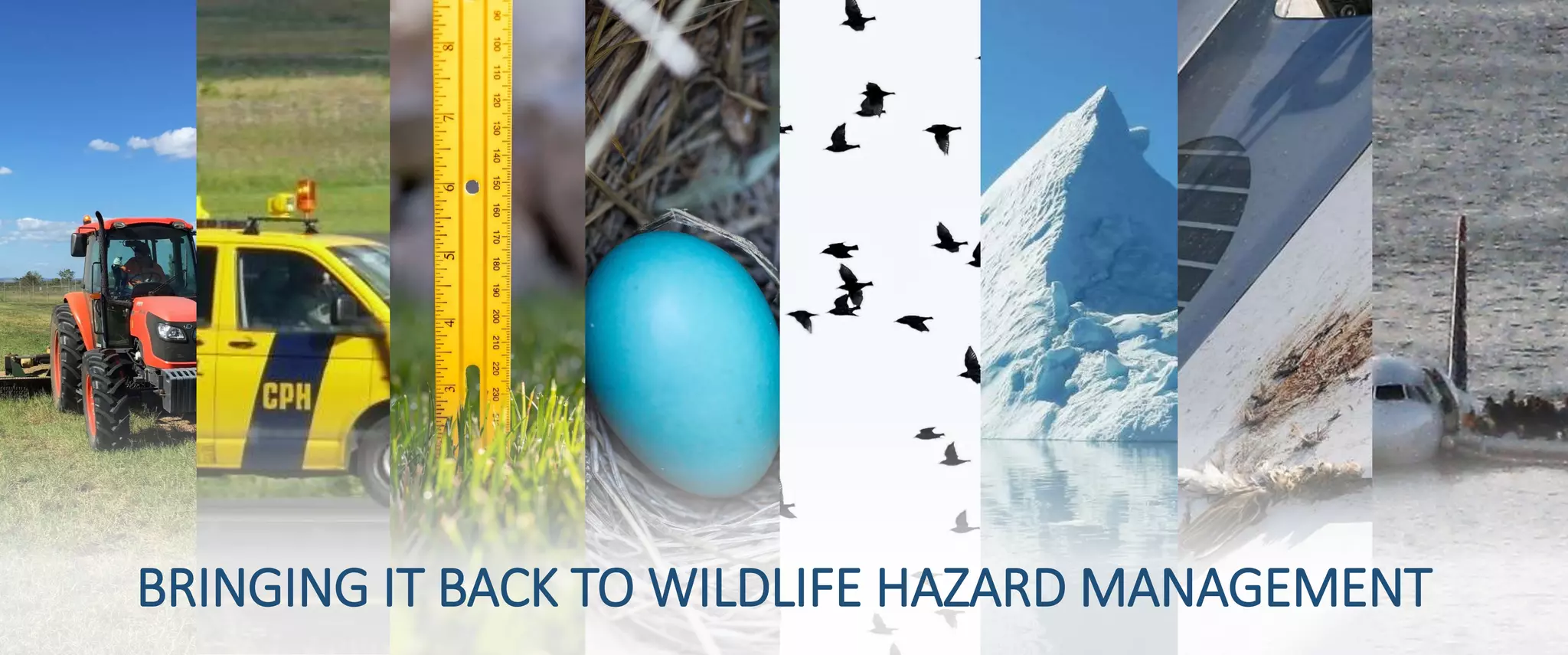 Expanding Safety Performance Indicators for Wildlife Hazard Management ...