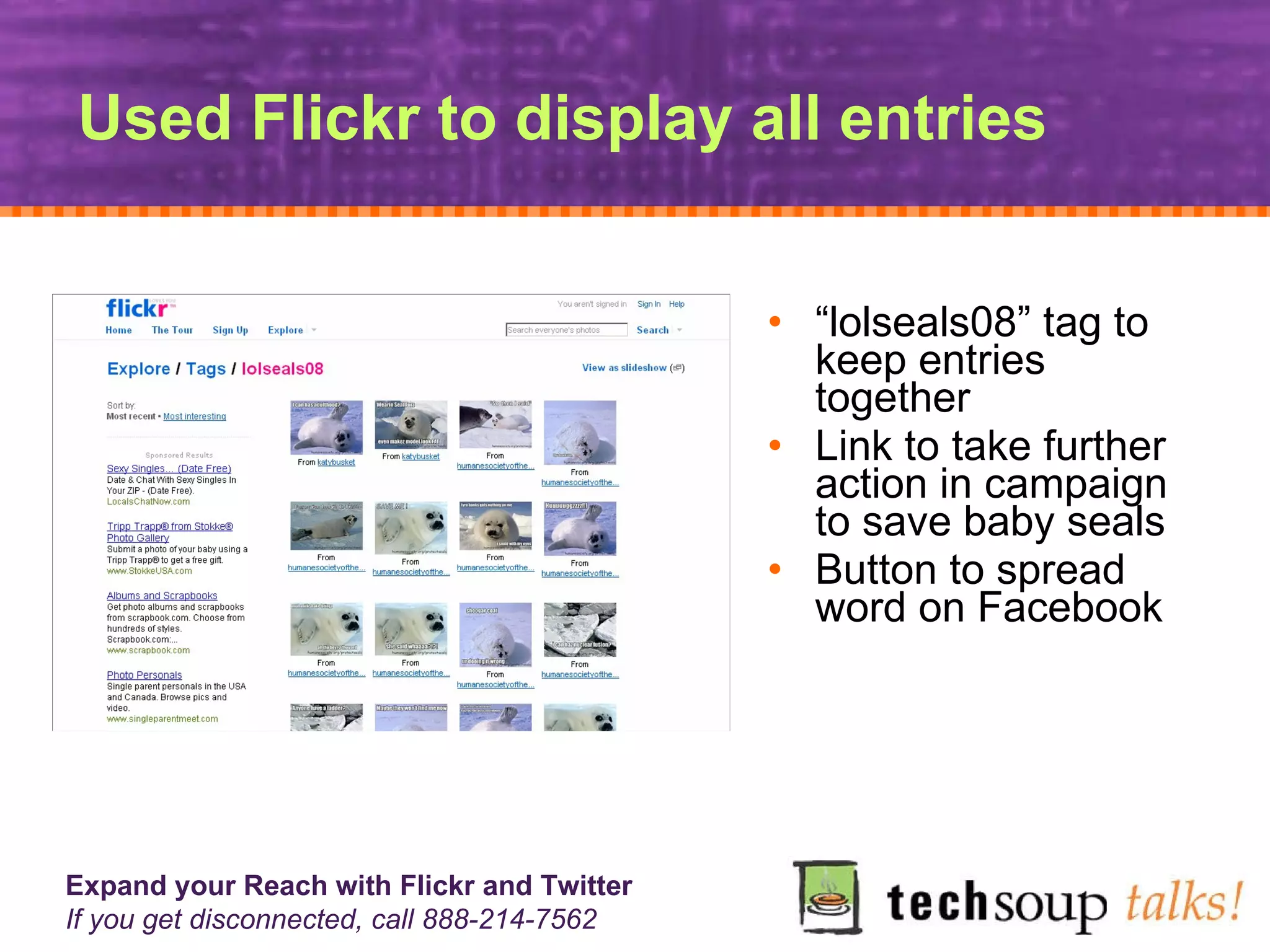 Used Flickr to display all entries “ lolseals08” tag to keep entries together Link to take further action in campaign to save baby seals  Button to spread word on Facebook  