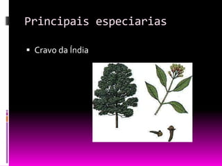 Principais especiarias
 Cravo da Índia
 