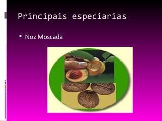 Principais especiarias Noz Moscada 