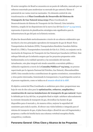 Expansión de la Red de Gasoductos de Gas Natural en Brasil_ Análisis ...