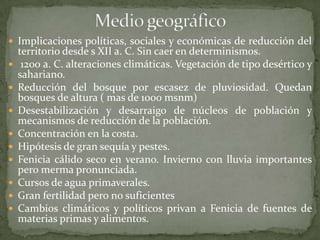  Implicaciones políticas, sociales y económicas de reducción del
    territorio desde s XII a. C. Sin caer en determinismos.
    1200 a. C. alteraciones climáticas. Vegetación de tipo desértico y
    sahariano.
   Reducción del bosque por escasez de pluviosidad. Quedan
    bosques de altura ( mas de 1000 msnm)
   Desestabilización y desarraigo de núcleos de población y
    mecanismos de reducción de la población.
   Concentración en la costa.
   Hipótesis de gran sequía y pestes.
   Fenicia cálido seco en verano. Invierno con lluvia importantes
    pero merma pronunciada.
   Cursos de agua primaverales.
   Gran fertilidad pero no suficientes
   Cambios climáticos y políticos privan a Fenicia de fuentes de
    materias primas y alimentos.
 