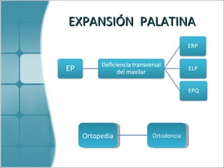 EXPANSIÓN  PALATINA Ortodoncia Ortopedia 