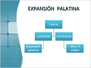 EXPANSIÓN  PALATINA 