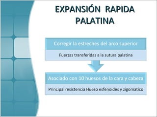 EXPANSIÓN  RAPIDA PALATINA 