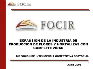EXPANSION DE LA INDUSTRIA DE PRODUCCION DE FLORES Y HORTALIZAS CON COMPETITIVIDAD ,[object Object],DIRECCION DE INTELIGENCIA COMPETITIVA SECTORIAL 