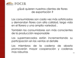 Los consumidores son cada vez más sofisticados y demandan flores con alta calidad, larga vida en el florero y una amplia variedad . También los consumidores son más conscientes de la producción responsable Los supermercados están incrementando su participación en las ventas al detalle Los miembros de la cadena de abasto promoverán mayor cooperación y cadenas mas robustas ¿Qué quieren nuestros clientes de flores de exportación ? 
