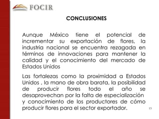 Aunque México tiene el potencial de incrementar su exportación de flores, la industria nacional se encuentra rezagada en términos de innovaciones para mantener la calidad y el conocimiento del mercado de Estados Unidos Las fortalezas como la proximidad a Estados Unidos , la mano de obra barata, la posibilidad de producir flores todo el año se desaprovechan por la falta de especialización  y conocimiento de los productores de cómo producir flores para el sector exportador. CONCLUSIONES 