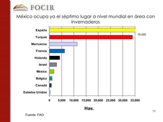 70,000  México ocupa ya el séptimo lugar a nivel mundial en área con invernaderos Has. Fuente: FAO 