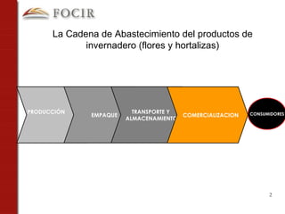 CONSUMIDORES PRODUCCIÓN EMPAQUE TRANSPORTE Y  ALMACENAMIENTO La Cadena de Abastecimiento del productos de invernadero (flores y hortalizas) COMERCIALIZACION 