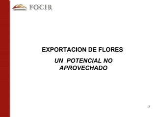 EXPORTACION DE FLORES  UN  POTENCIAL NO APROVECHADO 