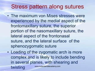 Stress pattern along sutures
• The maximum von Mises stresses were
experienced by the medial aspect of the
frontomaxillary...