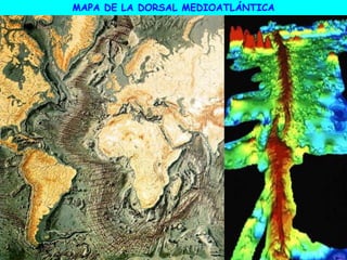MAPA DE LA DORSAL MEDIOATLÁNTICA
 