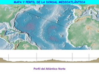 Perfil del Atlántico Norte
MAPA Y PERFIL DE LA DORSAL MEDIOATLÁNTICA
 