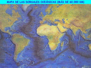 MAPA DE LAS DORSALES OCEÁNICAS (MÁS DE 60.000 KM)
 
