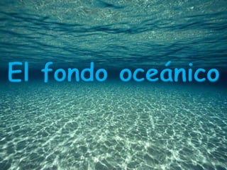 El fondo oceánico
 