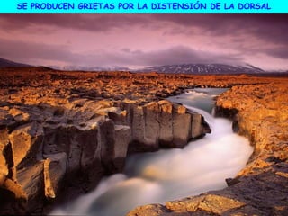 SE PRODUCEN GRIETAS POR LA DISTENSIÓN DE LA DORSAL
 