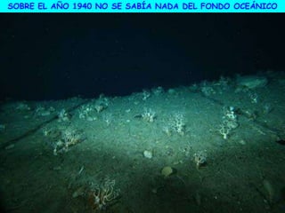 SOBRE EL AÑO 1940 NO SE SABÍA NADA DEL FONDO OCEÁNICO
 