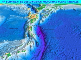 4ª SORPRESA: SE DESCUBRIERON PROFUNDAS FOSAS ABISALES
 