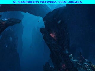 SE DESCUBRIERON PROFUNDAS FOSAS ABISALES
 