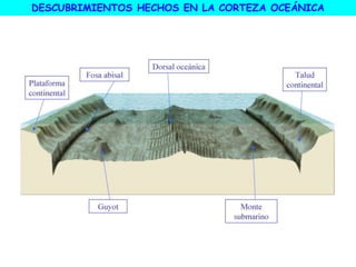 DESCUBRIMIENTOS HECHOS EN LA CORTEZA OCEÁNICA
 