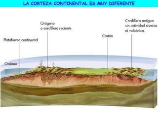 LA CORTEZA CONTINENTAL ES MUY DIFERENTE
 