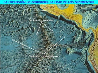 LA EXPANSIÓN LO CORROBORA LA EDAD DE LOS SEDIMENTOS
Sedimentos recientes
Sedimentos más antiguos
 