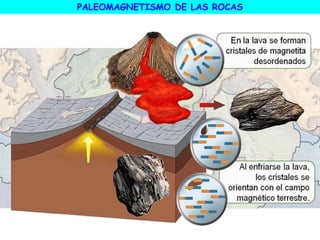 PALEOMAGNETISMO DE LAS ROCAS
 