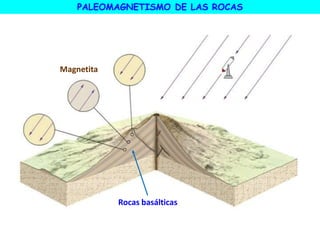 Rocas basálticas
PALEOMAGNETISMO DE LAS ROCAS
Magnetita
 