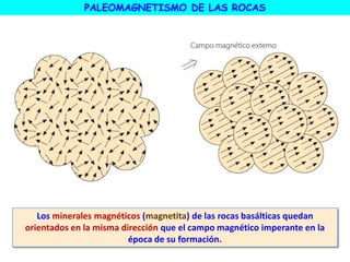 PALEOMAGNETISMO DE LAS ROCAS
Los minerales magnéticos (magnetita) de las rocas basálticas quedan
orientados en la misma dirección que el campo magnético imperante en la
época de su formación.
 