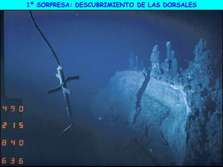 1ª SORPRESA: DESCUBRIMIENTO DE LAS DORSALES
 