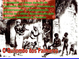 A instalação e a longa duração do Quilombo dos Palmares, relacionou-se, primeiramente,  à desorganização interna da Colônia, desencadeada pela ocupação holandesa do Nordeste O Quilombo dos Palmares 