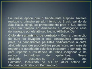 • Foi nessa época que o bandeirante Raposo Tavares
realizou o primeiro périplo interno do Brasil: saindo de
São Paulo, dirigiu-se primeiramente para o Sul, depois
subiu em direção ao Amazonas e, alcançando esse
rio, navegou por ele até seu foz, no Atlântico. De
• Ciclo de sertanismo de contrato – Com a diminuição
do ouro de lavagem e não conseguindo encontrar
prata, os bandeirantes paulistas dedicaram-se a outra
atividade: grandes proprietários pecuaristas, senhores de
engenho e autoridade coloniais passaram a contratá-los
para reprimir a resistência de tribos indígenas e de
negros formadores de quilombos. Nessa
atividade, destacou-se o quilombo dos
Palmares, localizado no sul do atual estado de
Alagoas, no limite com Pernambuco.
 