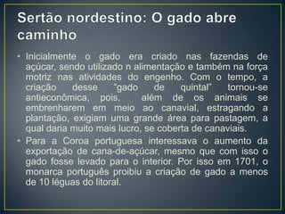 • Inicialmente o gado era criado nas fazendas de
açúcar, sendo utilizado n alimentação e também na força
motriz nas atividades do engenho. Com o tempo, a
criação desse “gado de quintal” tornou-se
antieconômica, pois, além de os animais se
embrenharem em meio ao canavial, estragando a
plantação, exigiam uma grande área para pastagem, a
qual daria muito mais lucro, se coberta de canaviais.
• Para a Coroa portuguesa interessava o aumento da
exportação de cana-de-açúcar, mesmo que com isso o
gado fosse levado para o interior. Por isso em 1701, o
monarca português proibiu a criação de gado a menos
de 10 léguas do litoral.
 