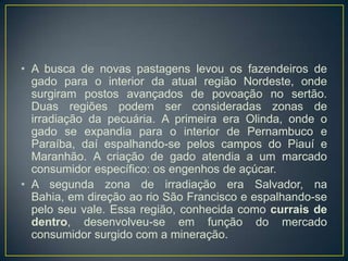 • A busca de novas pastagens levou os fazendeiros de
gado para o interior da atual região Nordeste, onde
surgiram postos avançados de povoação no sertão.
Duas regiões podem ser consideradas zonas de
irradiação da pecuária. A primeira era Olinda, onde o
gado se expandia para o interior de Pernambuco e
Paraíba, daí espalhando-se pelos campos do Piauí e
Maranhão. A criação de gado atendia a um marcado
consumidor específico: os engenhos de açúcar.
• A segunda zona de irradiação era Salvador, na
Bahia, em direção ao rio São Francisco e espalhando-se
pelo seu vale. Essa região, conhecida como currais de
dentro, desenvolveu-se em função do mercado
consumidor surgido com a mineração.
 