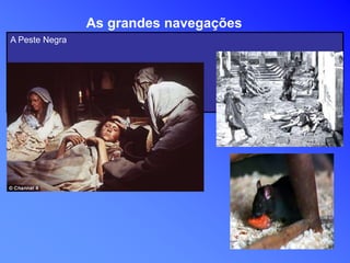 A Peste Negra
As grandes navegações
 