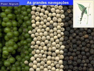 As grandes navegações
Piper Nigrum
 