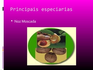 Principais especiarias
 Noz Moscada
 