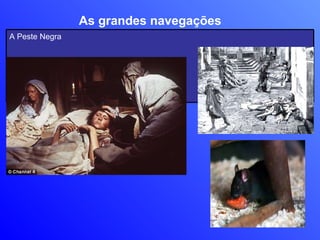 As grandes navegações A Peste Negra 