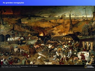As grandes navegações 