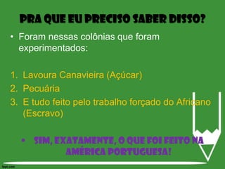 Pra que eu preciso saber disso?Foram nessas colônias que foram experimentados:Lavoura Canavieira (Açúcar)PecuáriaE tudo feito pelo trabalho forçado do Africano (Escravo)Sim, exatamente, o que foi feito na América Portuguesa! 