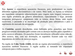 Nos Açores, a experiência açucareira fracassou, pois predominam na região
diferentes regimes pluviométricos e de ventos. Mais tarde, os Açores se tornaram
um importante entreposto (abastecimento para viagens mais longas); tornaram-se
uma região produtora de gêneros alimentícios, especialmente o trigo, atraindo
imigrantes portugueses camponeses (não se tornou, dessa forma, uma região
escravista), e passando a se encarregar da produção para subsistência e para o
suprimento do mercado da navegação.
As Canárias, quando descobertas, eram habitadas pelos guanchos, que foram
progressivamente dizimados pelo contato com as doenças trazidas pelos espanhóis e
pelos escravos africanos. Os guanchos foram inicialmente utilizados como mão-de-
obra escrava, mas, com sua dizimação, os espanhóis ficaram cada vez mais
dependentes do tráfico de escravos negros.
Na região de Cabo Verde (1460), devido ao regime pluviométrico, a experiência
açucareira também fracassou. A região acabou se tornando um importante
entreposto para o tráfico negreiro.
 