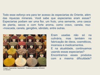 Todo esse esforço era para ter acesso às especiarias do Oriente, além
das riquezas minerais. Você sabe que especiarias eram essas?
Especiarias podiam ser uma flor, um fruto, uma semente, uma casca
de planta, secos e com forte aroma, como cravo, canela, noz-
-moscada, canela, gengibre, sândalo, entre outras.
Eram usadas não só na
culinária, mas também na
fabricação de óleos, cosméticos,
incensos e medicamentos.
E na atualidade, continuamos
usando essas especiarias?
Encontramos esses produtos
com a mesma dificuldade?
Imagem: Especiarías / heydrienne / Creative Commons Attribution
2.0 Generic.
 